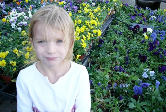 pansy_pansies_poem_poems